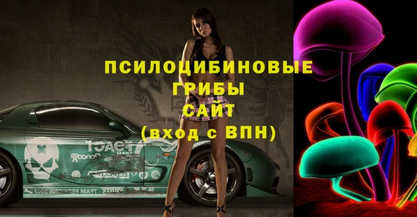spice Алексин