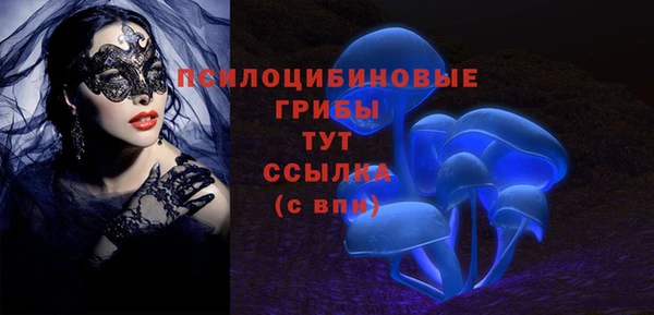 spice Алексин