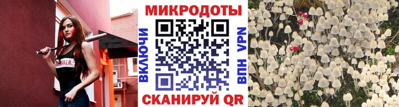 Псилоцибиновые грибы MAGIC MUSHROOMS  купить наркотики цена  KRAKEN маркетплейс  Невьянск 